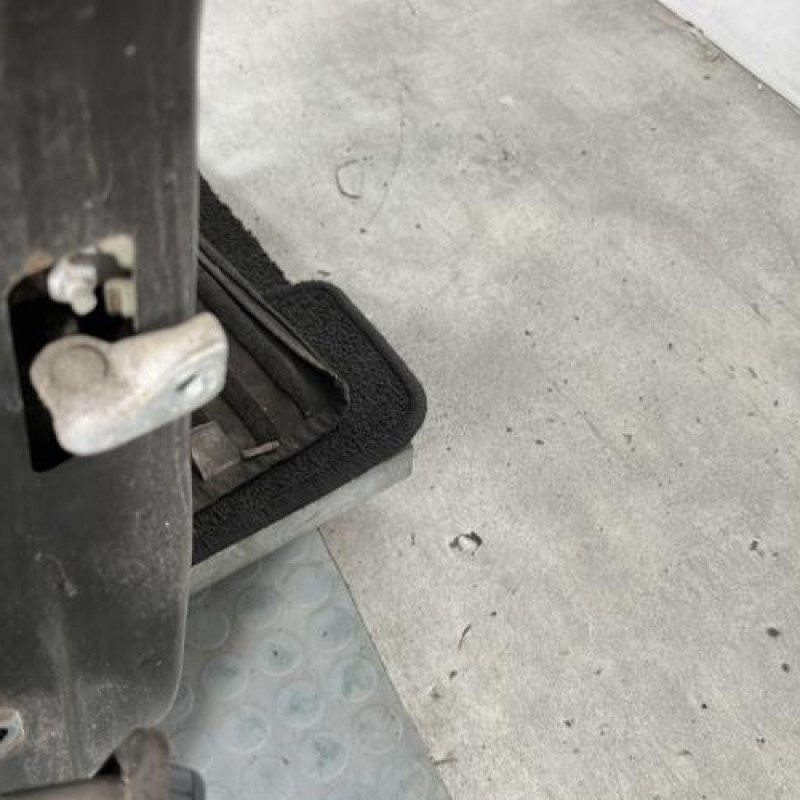 Porte avant droit DACIA SANDERO 2 Photo n°5