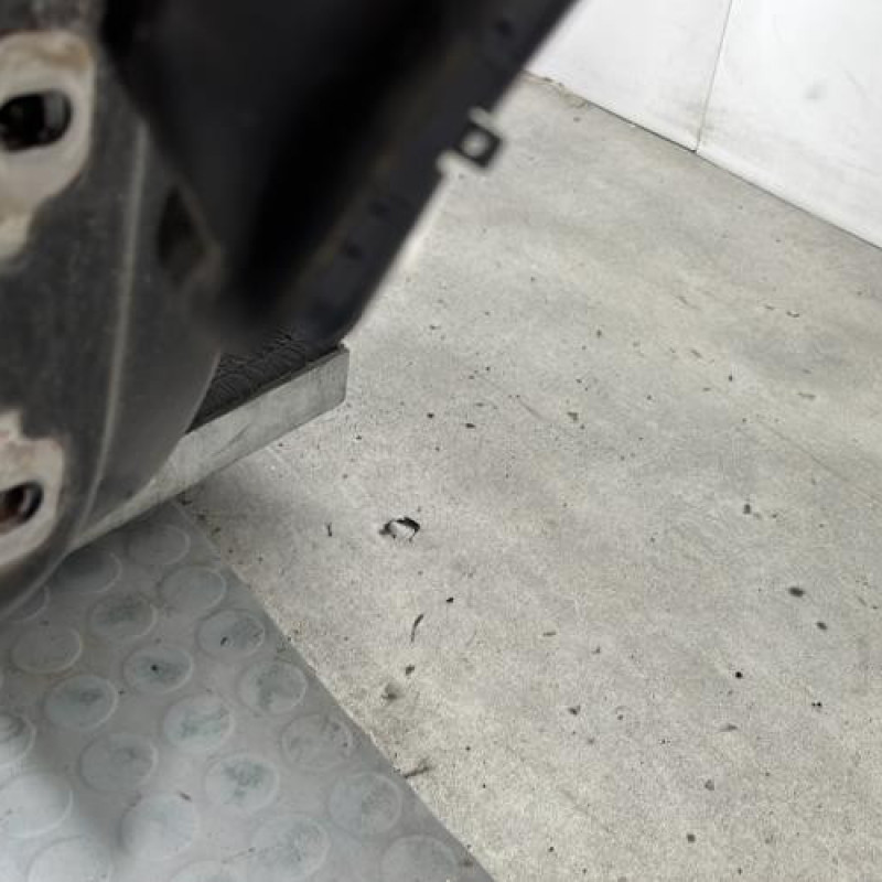 Porte avant droit DACIA SANDERO 2 Photo n°6