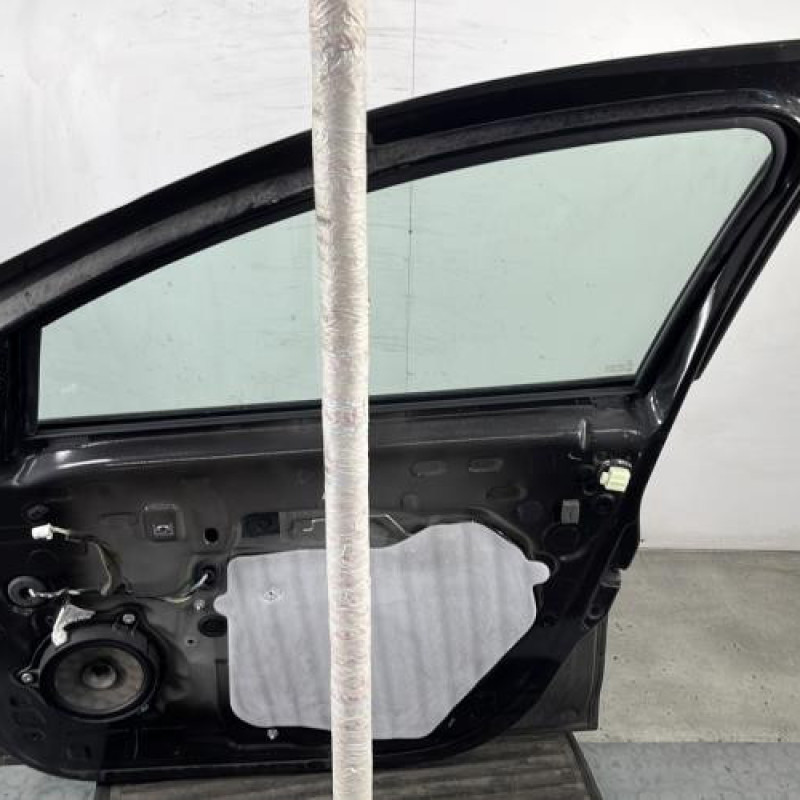 Porte avant droit DACIA SANDERO 2 Photo n°7