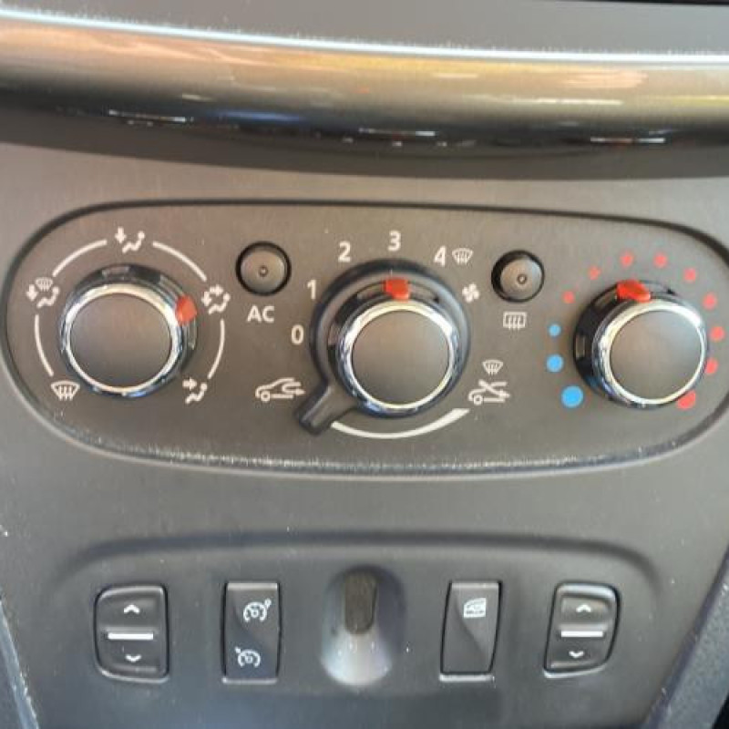 Porte avant droit DACIA SANDERO 2 Photo n°13