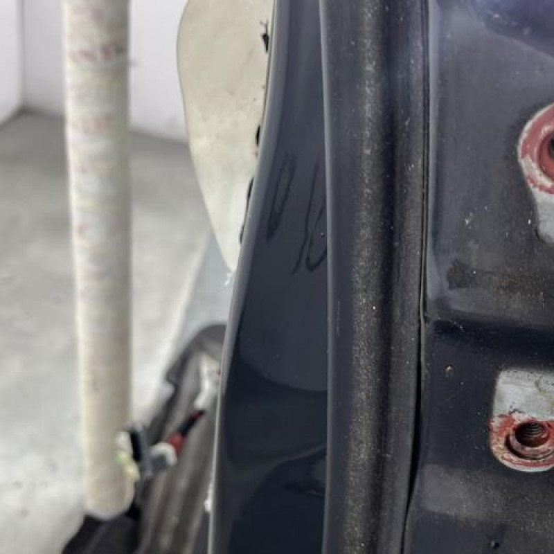 Porte arriere gauche SSANGYONG KYRON Photo n°4