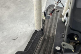 Porte arriere gauche SSANGYONG KYRON