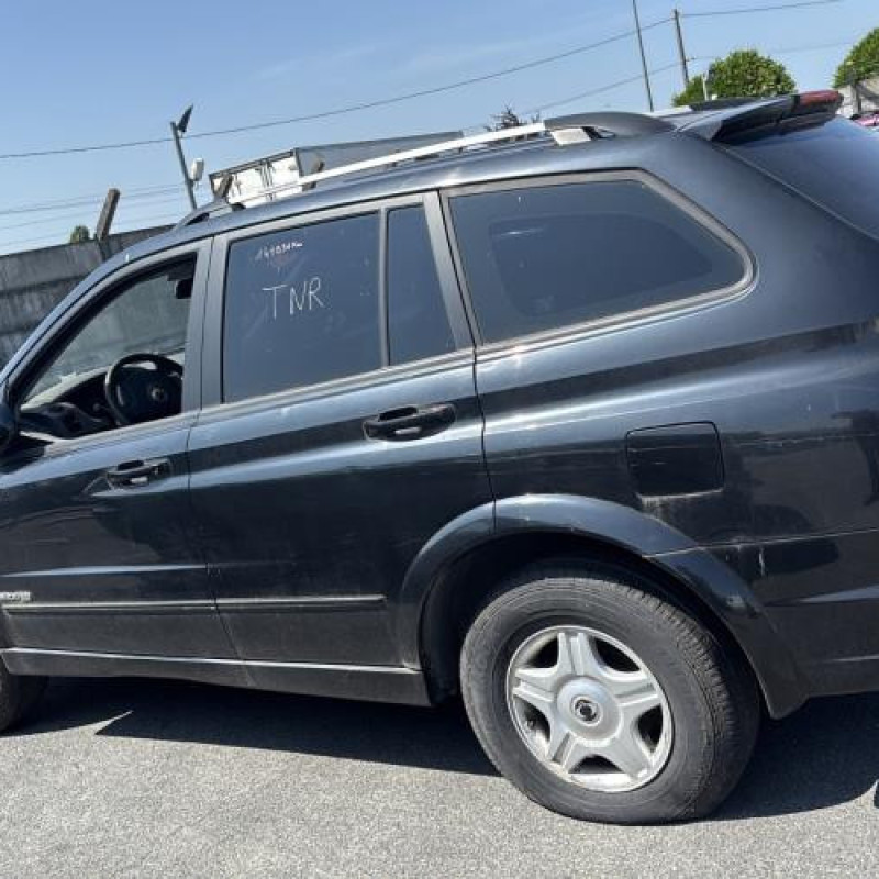Porte arriere gauche SSANGYONG KYRON Photo n°13