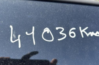 Porte arriere gauche SSANGYONG KYRON
