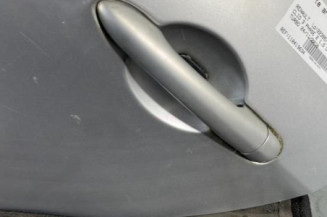 Porte arriere gauche RENAULT CLIO 3