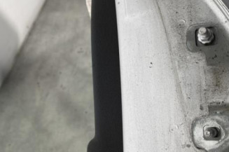 Porte arriere gauche RENAULT CLIO 3