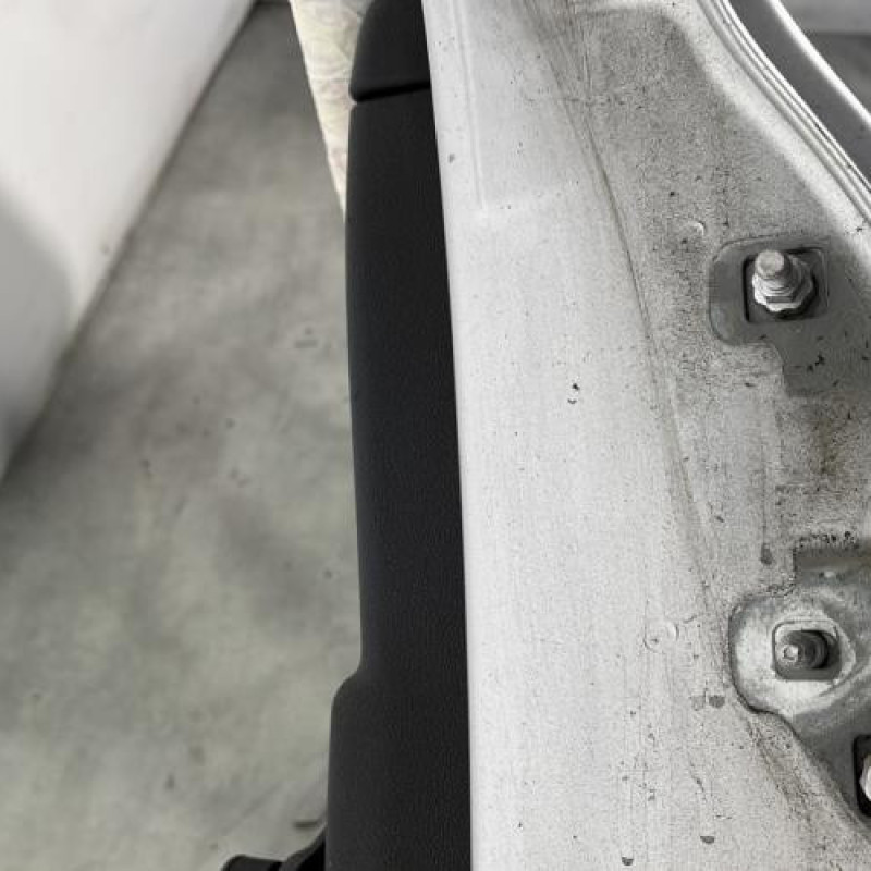 Porte arriere gauche RENAULT CLIO 3 Photo n°3