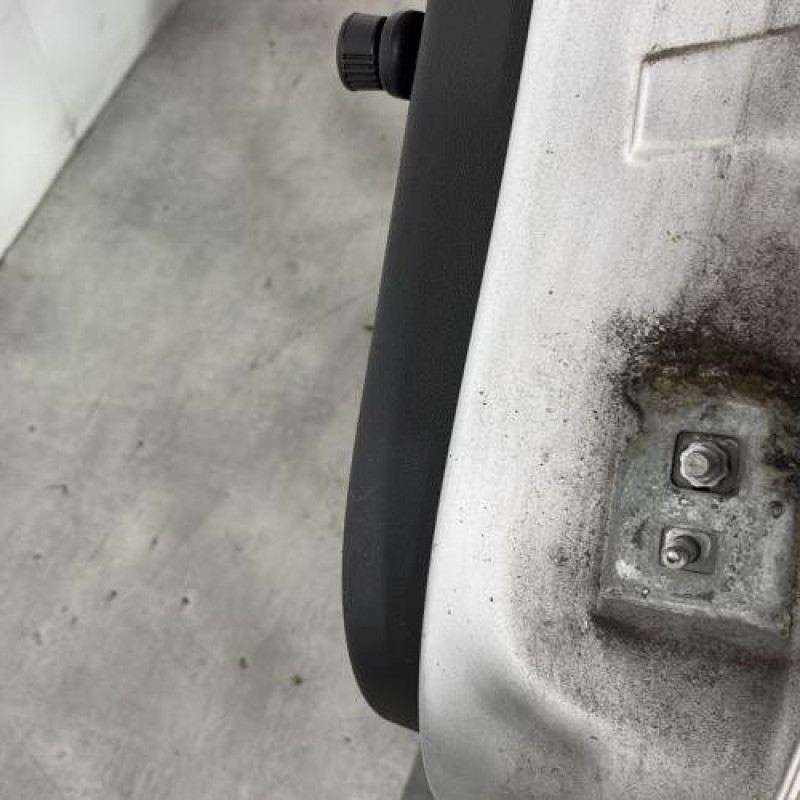Porte arriere gauche RENAULT CLIO 3 Photo n°4