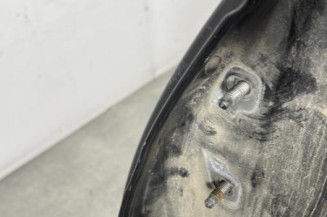 Porte arriere droit DACIA DUSTER 1