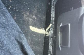 Porte arriere droit DACIA DUSTER 1