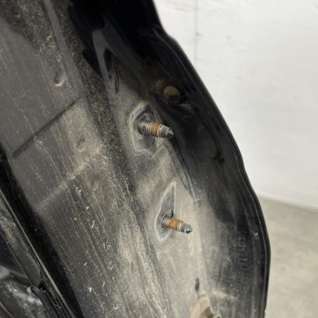 Porte arriere gauche DACIA DUSTER 1