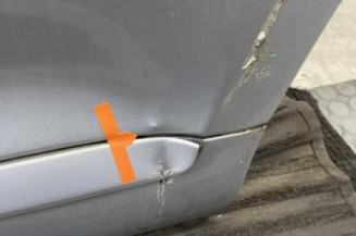 Porte arriere gauche PORSCHE CAYENNE 1