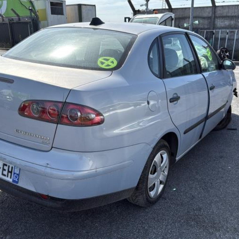 Porte arriere gauche SEAT CORDOBA 2 Photo n°8