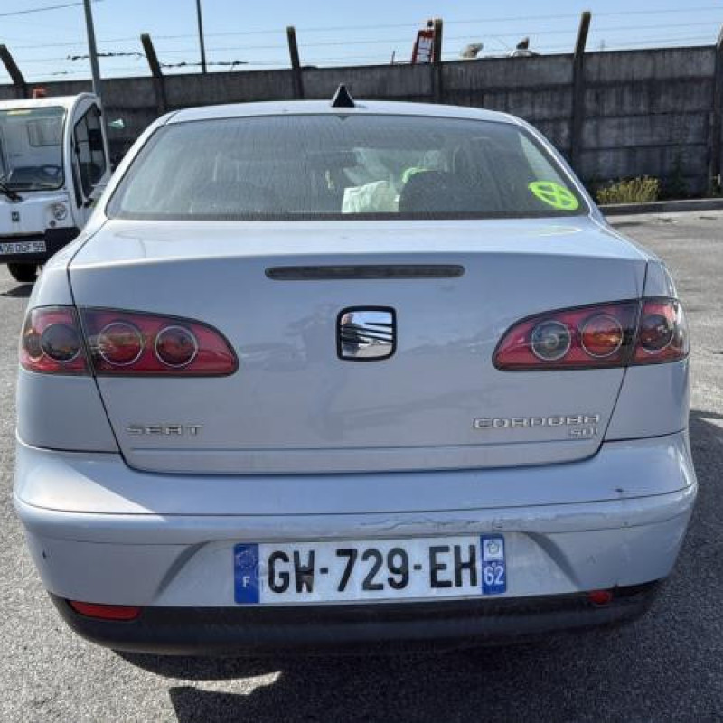 Porte arriere gauche SEAT CORDOBA 2 Photo n°10