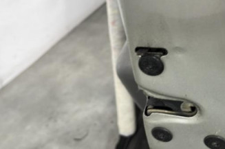 Porte arriere droit DACIA LOGAN 1