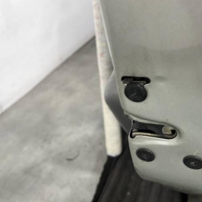 Porte arriere droit DACIA LOGAN 1 Photo n°3