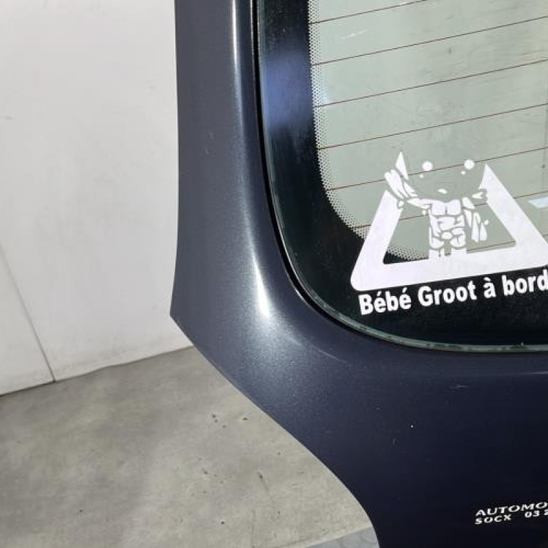 Malle/Hayon arriere CITROEN XSARA PICASSO Photo n°5
