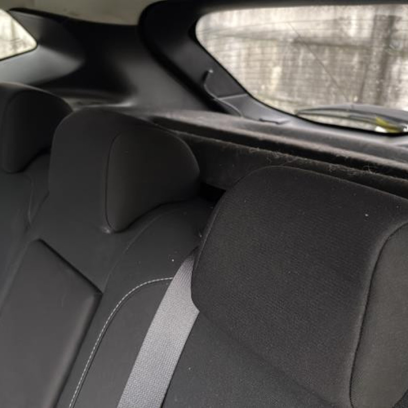 Custode arriere droit NISSAN QASHQAI 2 Photo n°15
