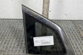 Custode arriere gauche NISSAN QASHQAI 2 Photo n°1