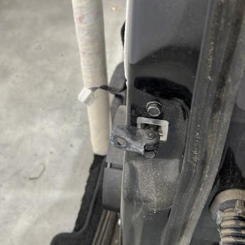 Porte arriere gauche NISSAN QASHQAI 2 Photo n°3