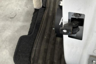 Porte arriere gauche RENAULT CLIO 4