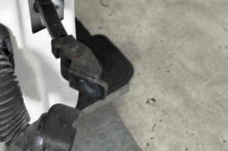 Porte avant droit RENAULT CLIO 4