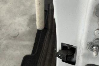 Porte avant gauche RENAULT CLIO 4