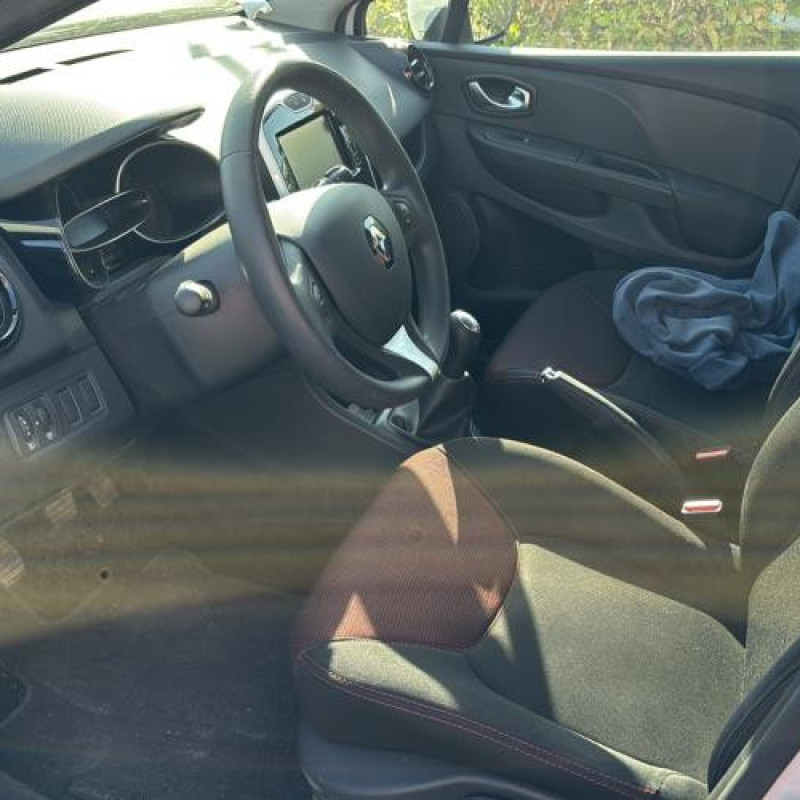 Porte avant gauche RENAULT CLIO 4 Photo n°9