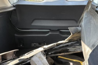Porte avant gauche RENAULT CLIO 4