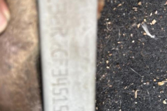 Aile avant gauche RENAULT CLIO 2