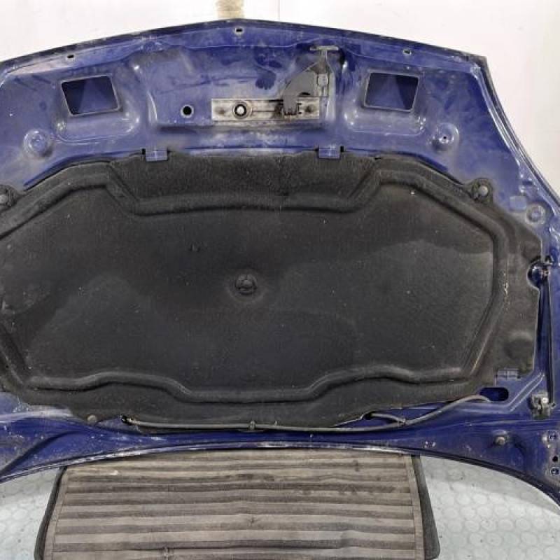 Capot RENAULT CLIO 2 Photo n°8