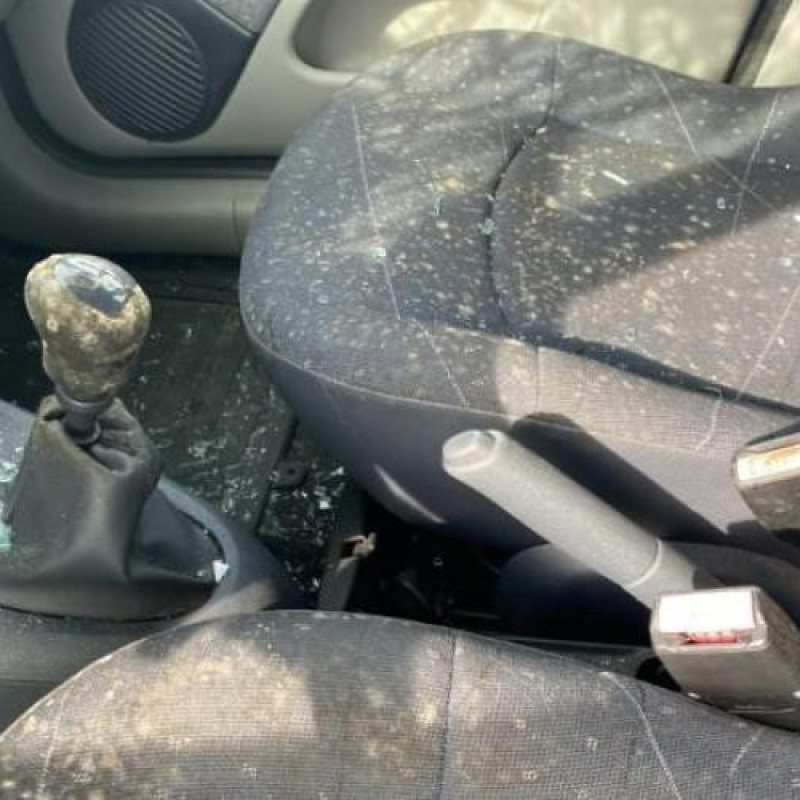 Capot RENAULT CLIO 2 Photo n°13