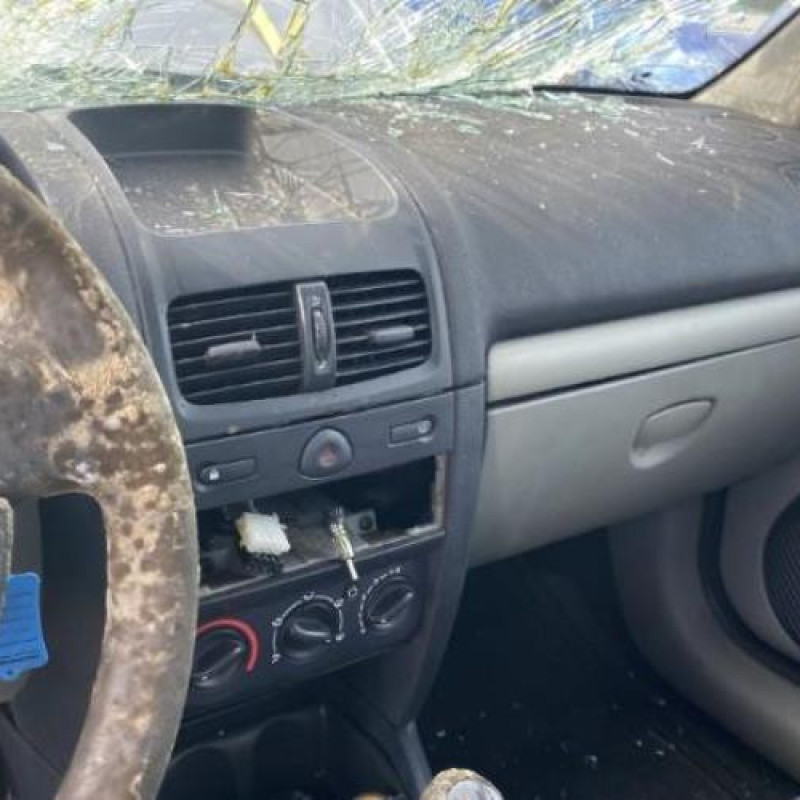 Porte avant droit RENAULT CLIO 2 Photo n°10