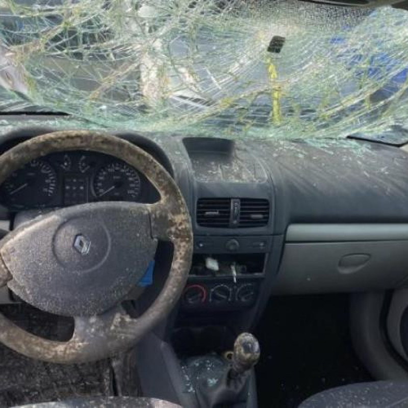 Porte avant droit RENAULT CLIO 2 Photo n°15