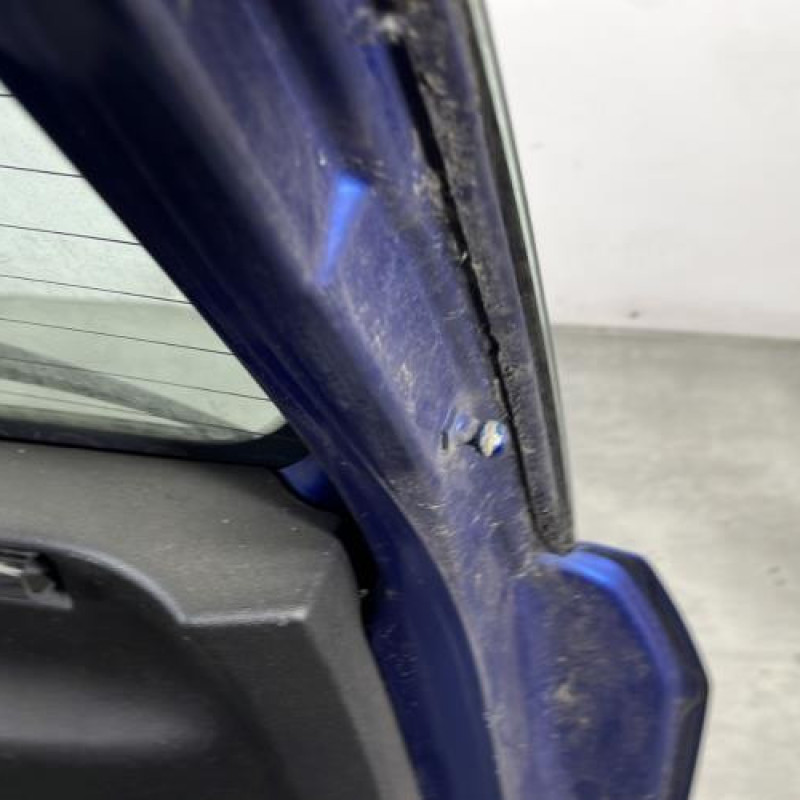 Malle/Hayon arriere FIAT PUNTO EVO 3 Photo n°8