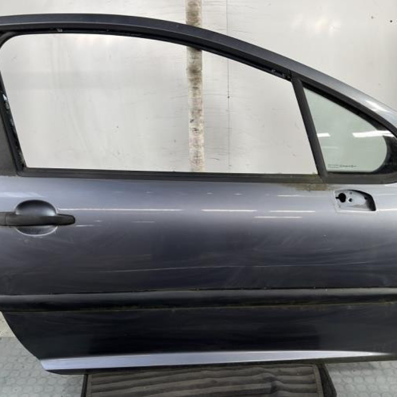Porte avant droit PEUGEOT 207 Photo n°1