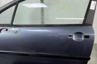 Porte avant gauche PEUGEOT 207 Photo n°1