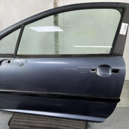 Porte avant gauche PEUGEOT 207 Photo n°1
