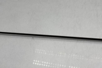 Antenne CITROEN C1 1