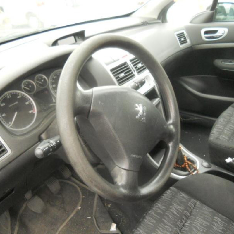 Neiman PEUGEOT 307 Photo n°10