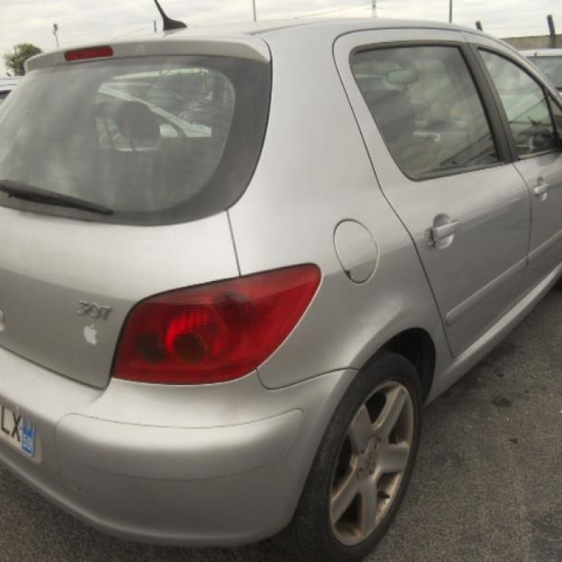Neiman PEUGEOT 307 Photo n°11