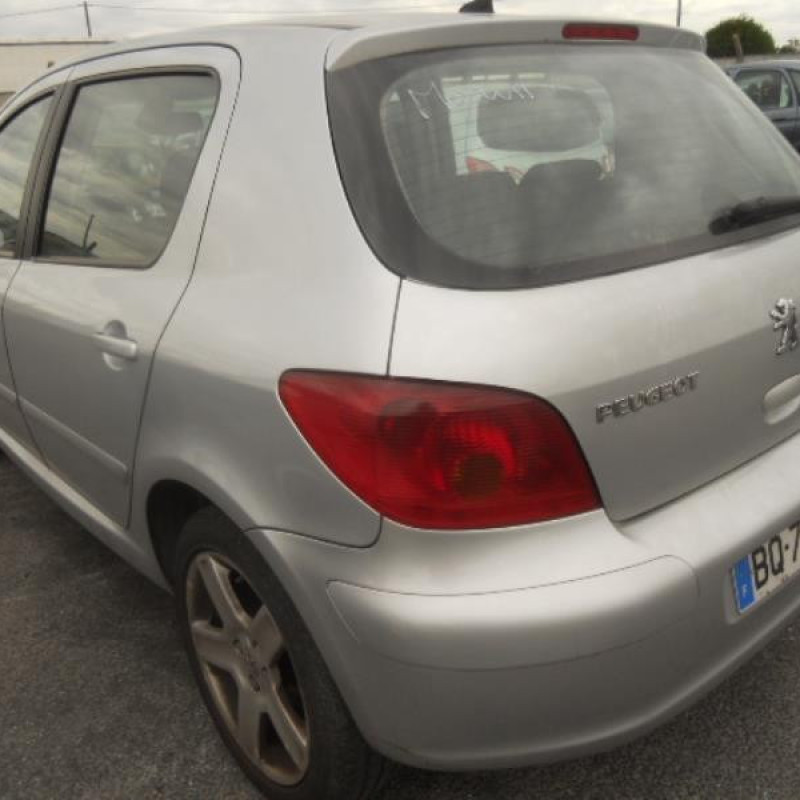 Neiman PEUGEOT 307 Photo n°12