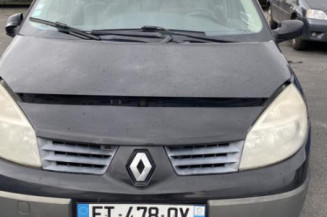 Bouton de coffre RENAULT SCENIC 2