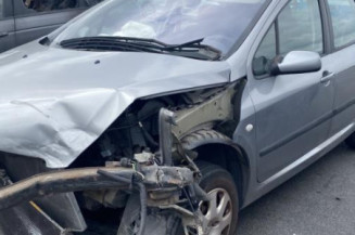 Neiman PEUGEOT 307