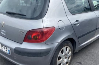 Neiman PEUGEOT 307