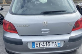 Neiman PEUGEOT 307