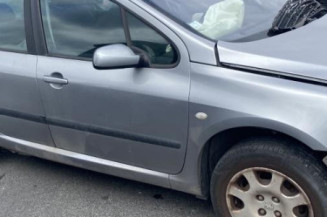 Neiman PEUGEOT 307