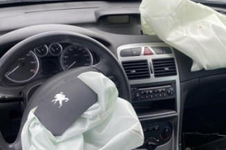 Neiman PEUGEOT 307