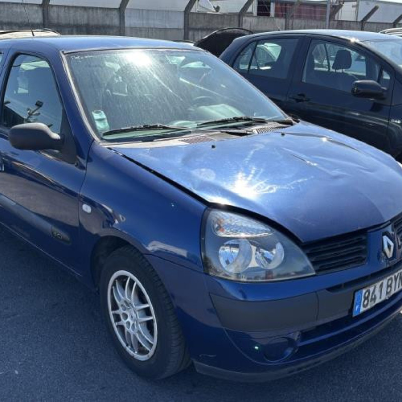 Porte avant droit RENAULT CLIO 2 Photo n°8