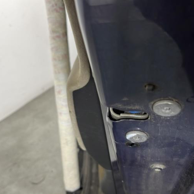 Porte arriere droit CITROEN C4 PICASSO 1 Photo n°3